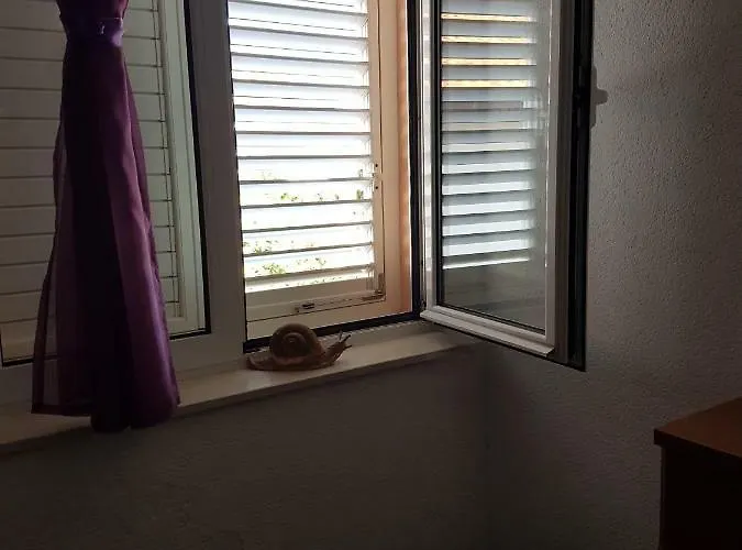 Sobe Stankovic דירה פודאצה