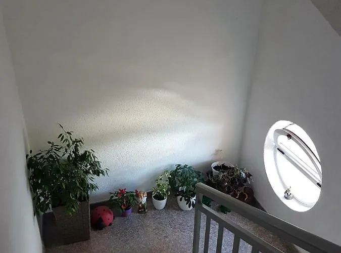 דירה Sobe Stankovic *