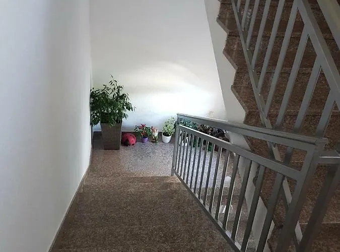 Sobe Stankovic דירה