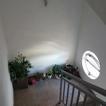 Apartment Stankovic *
