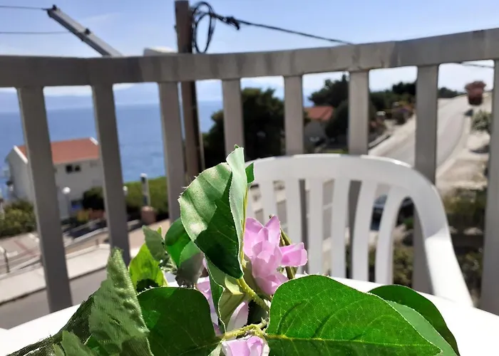 Sobe Stankovic Διαμέρισμα Podaca